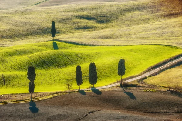 Belles et miraculeuses couleurs de vert paysage printanier de Tus — Photo