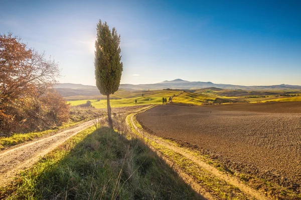 Selvi ağaçları bir çiftlik evi ve Tuscan yatay olarak giden yolda — Stok fotoğraf