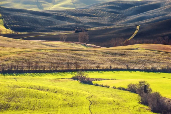 Hermosos y milagrosos colores del verde paisaje primaveral de Tus — Foto de Stock