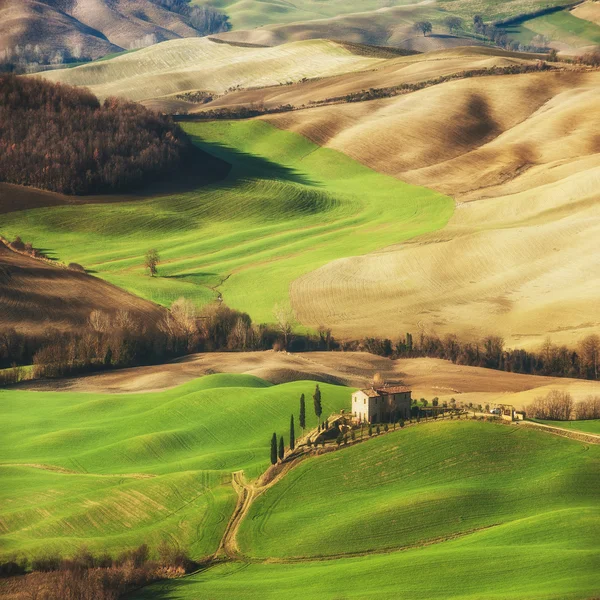 Fantástico paisaje pintado de luz en Toscana con largas sombras — Foto de Stock