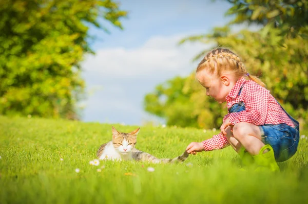 Little Girl and cat play on a green meadow in spring beautiful d — Stock Photo, Image