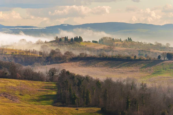 Bergsskogar med tanke på det toskanska landskapet. — Stockfoto