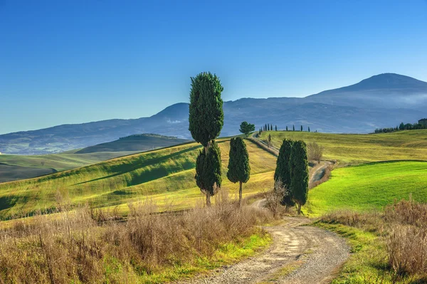 Selvi ağaçları bir çiftlik evi ve Tuscan yatay olarak giden yolda — Stok fotoğraf