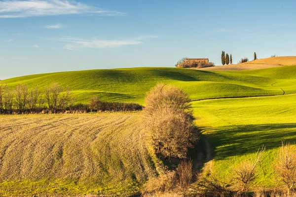 Spring green fields with trees and an abandoned house — Stock Photo, Image