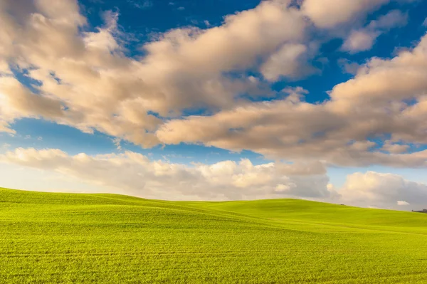 Paisaje del sol poniente, campo verde y cielo azul nublado — Foto de Stock