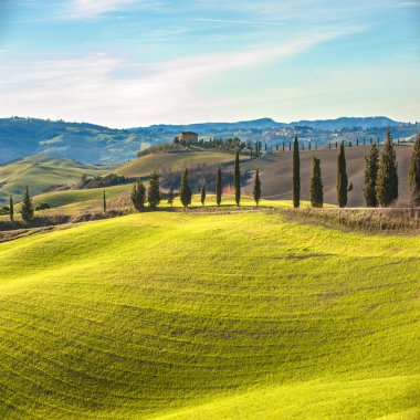 Sanatsal Tuscan manzara selvi, dalgalı alanları ve ev ile 