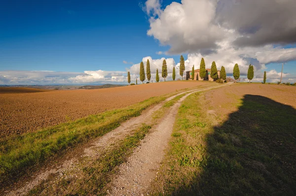 Casa clásica con cipreses en Toscana —  Fotos de Stock