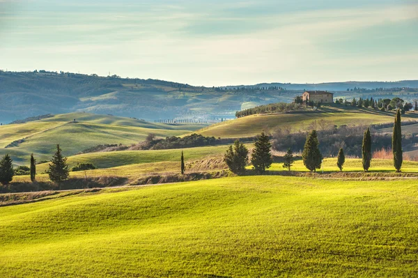 Художественный тосканский пейзаж с кипарисами, волнистыми полями и домом — стоковое фото