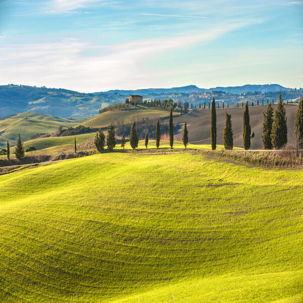 Artistic Tuscan landscape with cypresses, wavy fields and house 