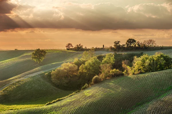 Paisaje toscano en colores otoñales, Italia —  Fotos de Stock