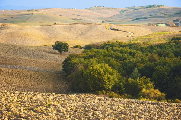 Toscanska landskapet i höstliga färger, Italien — Stockfoto
