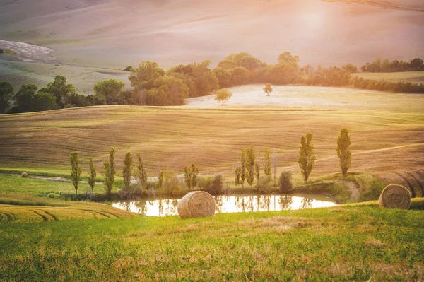 Старая кипарисовая дорога к ферме между полями в Тоскане, Италия — стоковое фото