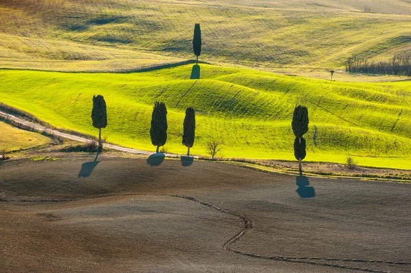 Mooie en wonderbaarlijke kleuren van groene lente landschap van Tus — Stockfoto