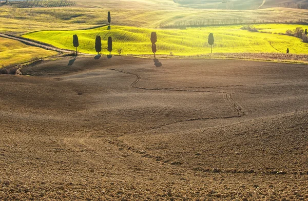 Beautiful and miraculous colors of green spring landscape of Tus — Stock Photo, Image