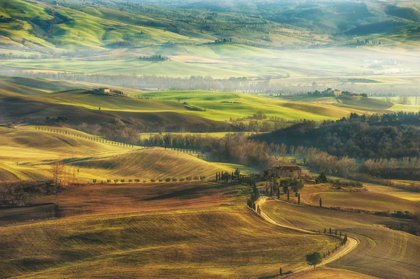 Fantástico paisaje pintado de luz en Toscana con largas sombras —  Fotos de Stock