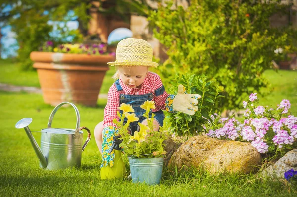 Schattig klein meisje tuin werk tussen kleurrijke bloemen. — Stockfoto