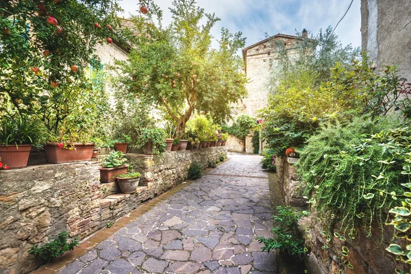 Italiensk trädgård i byn i den gamla Toscana — Stockfoto