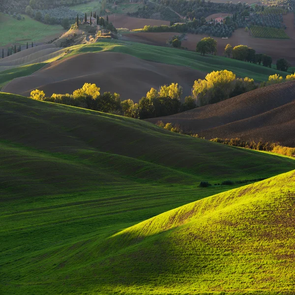 Färgglada våren landsbygdens landskap — Stockfoto