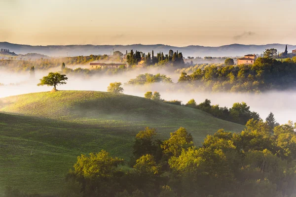 Alberi e frutteti sui campi italiani . — Foto Stock