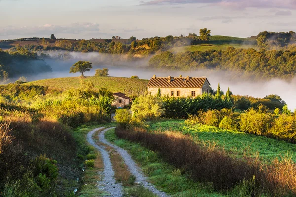 Ağaçlar ve İtalyan alanlar üzerinde meyve bahçeleri.