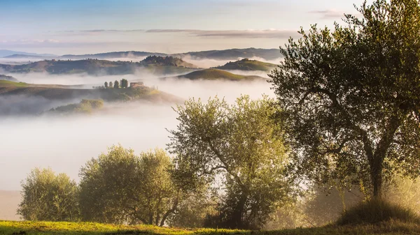 Vítání občánků v kopcích v Toskánsku. — Stock fotografie