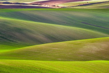 Çek kırsal, south Moravia'deki /.