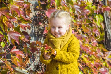 Küçük bir kız için bir portre için arka plan olarak sonbahar yaprakları.