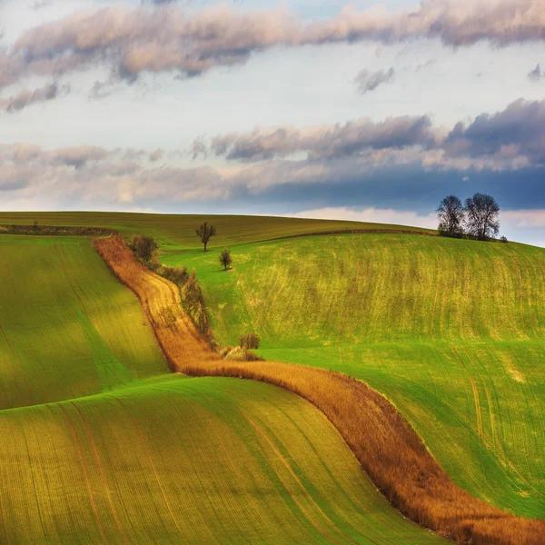 Campo checo, sul da Morávia . — Fotografia de Stock