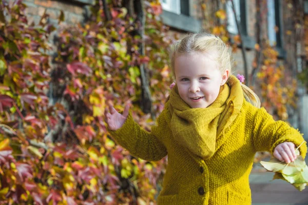 Podzimní listí jako zázemí pro portrét pro holčičku. — Stock fotografie