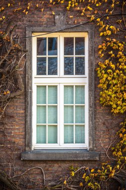 Arka plan olarak Gotik bir binada sonbahar pencere