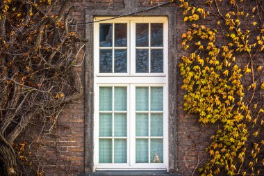 Arka plan olarak Gotik bir binada sonbahar pencere