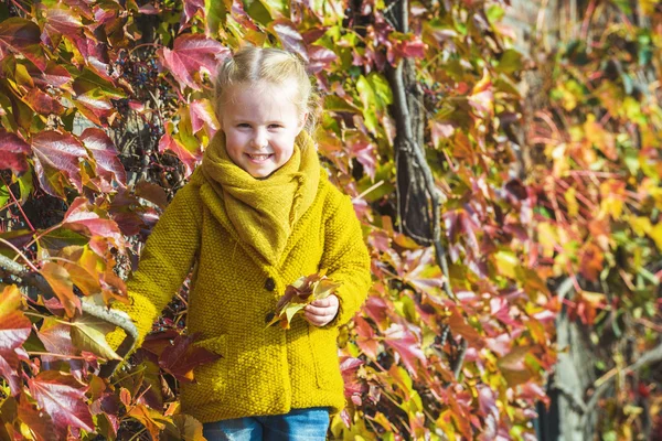 Hojas de otoño como fondo para un retrato para una niña . — Foto de Stock