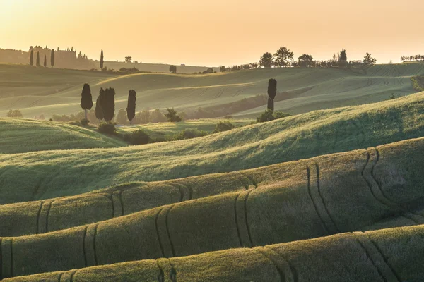 Tramonto sui campi estivi in Toscana — Foto Stock