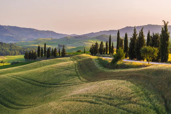 Tranquillo campo estivo in Toscana — Foto Stock