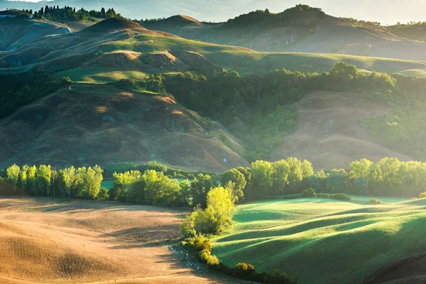 Brume incroyable sur les champs dans les rayons toscans du lever du soleil, Italie — Photo