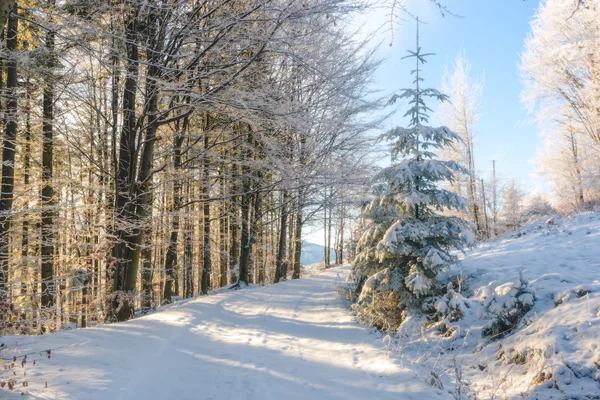 Estrada de neves nas montanhas em um dia ensolarado e frio — Fotografia de Stock