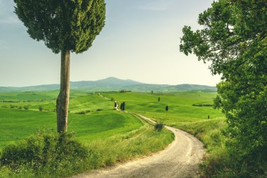 Tuscan kırsal manzara yerde