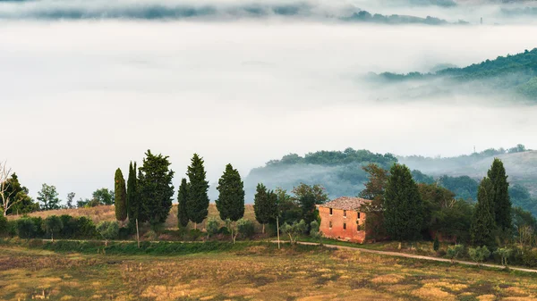 Prachtige natuur zonsopgang op een prachtige Toscaanse landschap — Stockfoto