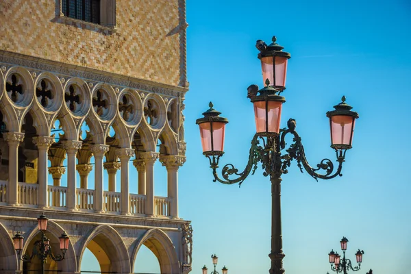 Gatelamper i Venezia med mange duer på seg. – stockfoto