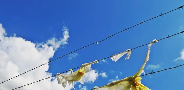 Valla de alambre de púas y plástico amarillo viejo con nubes blancas y fondo de cielo azul —  Fotos de Stock