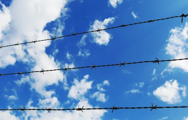 Cerca de alambre de púas con nubes blancas y fondo azul del cielo Fotos de stock libres de derechos