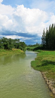 Arazi yeşil alan ve yüksek ağaçlar ile küçük nehir akışı