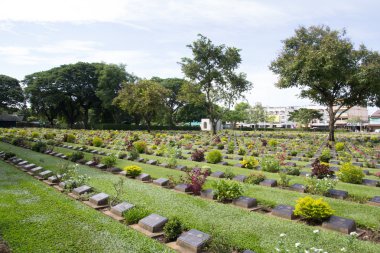yeşil hasır şapka izole