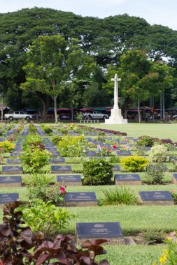yeşil hasır şapka izole