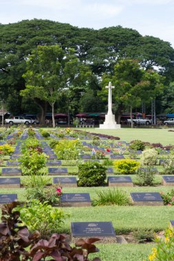 yeşil hasır şapka izole