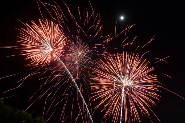 Beauty fire work for celebrate — Stock Photo, Image