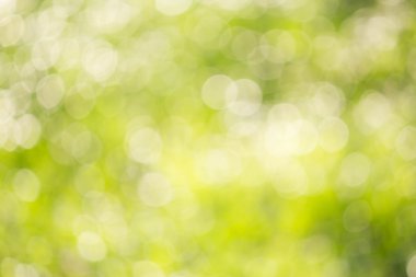 Seçici bulanıklık yeşil bokeh