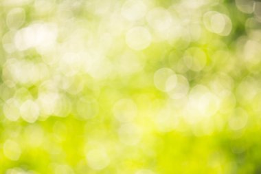 Seçici bulanıklık yeşil bokeh