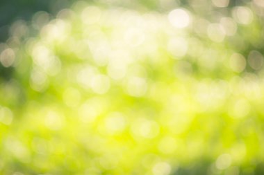 Seçici bulanıklık yeşil bokeh