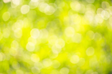 Seçici bulanıklık yeşil bokeh